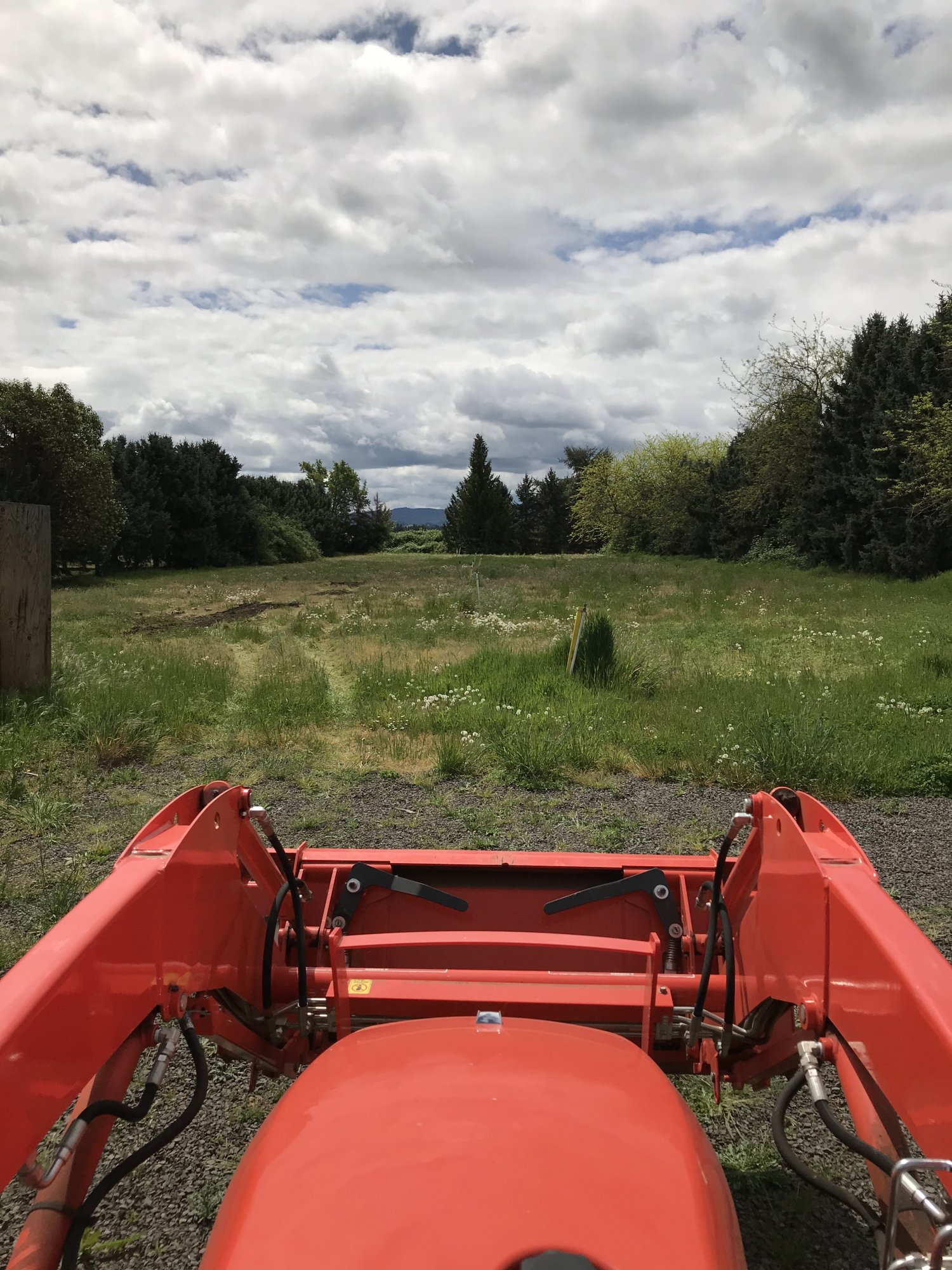 Hemp farmin 2021 on a budget