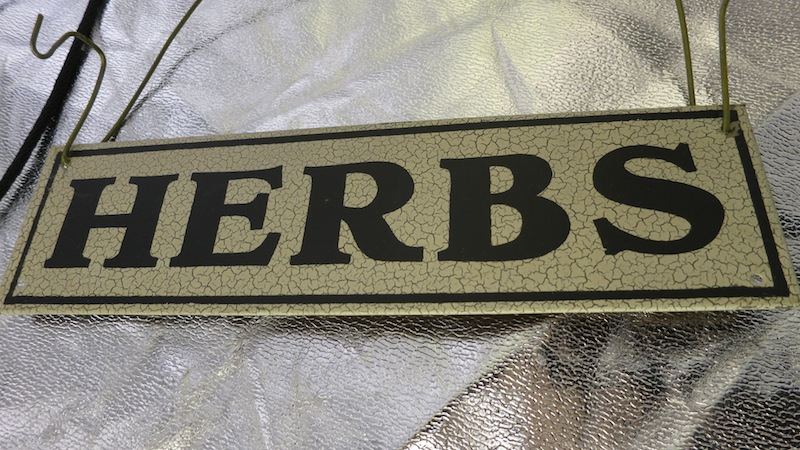 HERBS sf