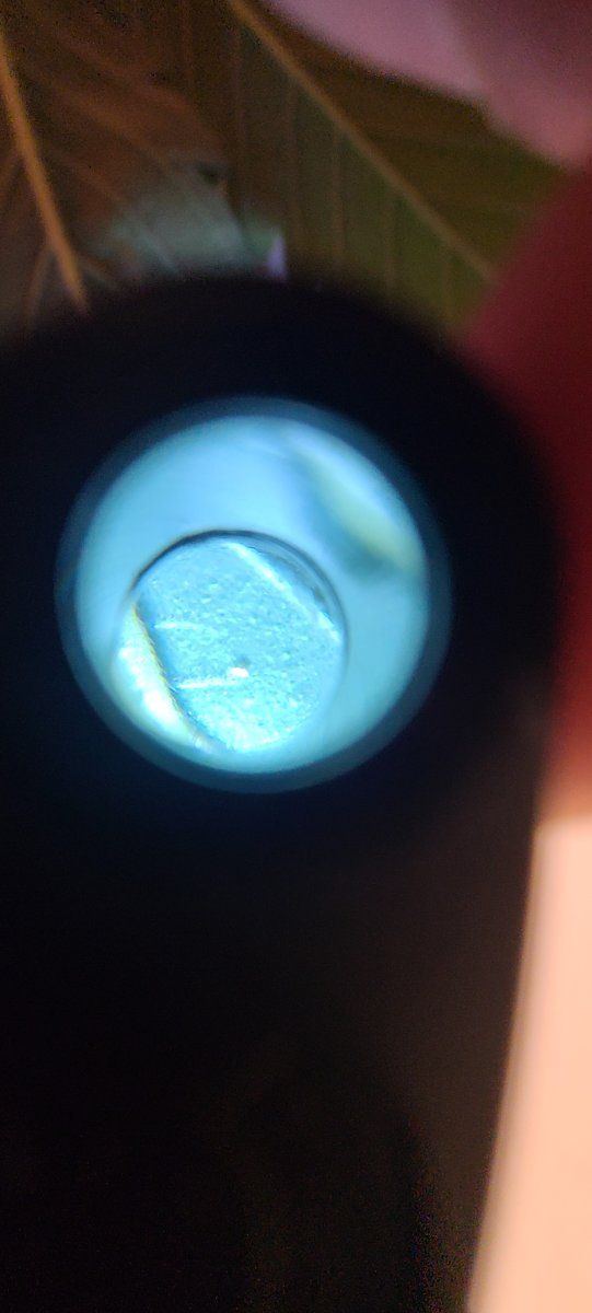 Here is the bug if u can see it 3