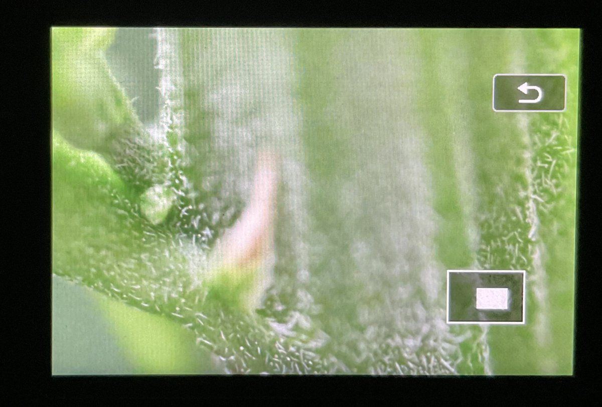 Herm or not critical xl 20 auto 3