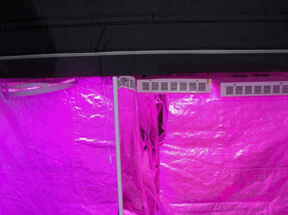 Hidhut supernova vs 2 hgl 126 panels