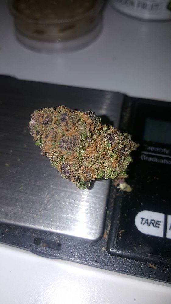 High grade weed in uk thats got people paying 120167 including myself 6