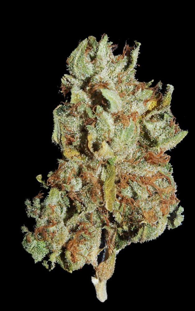 HIGH