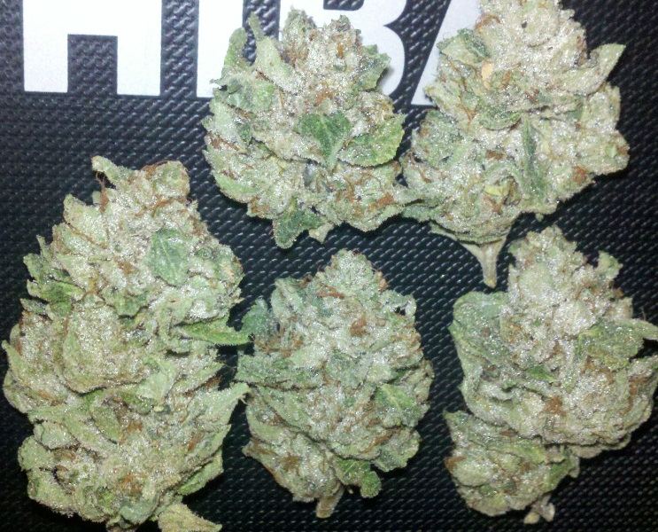HighOctaneOG1