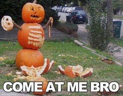 Hilarious halloween memes decorations 