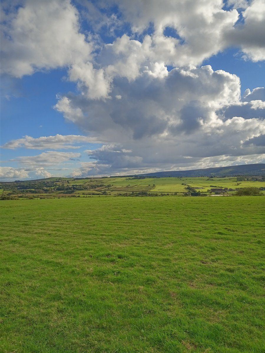 Hill view