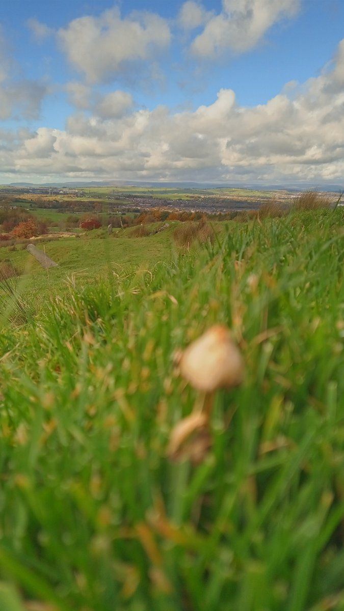 Hills1