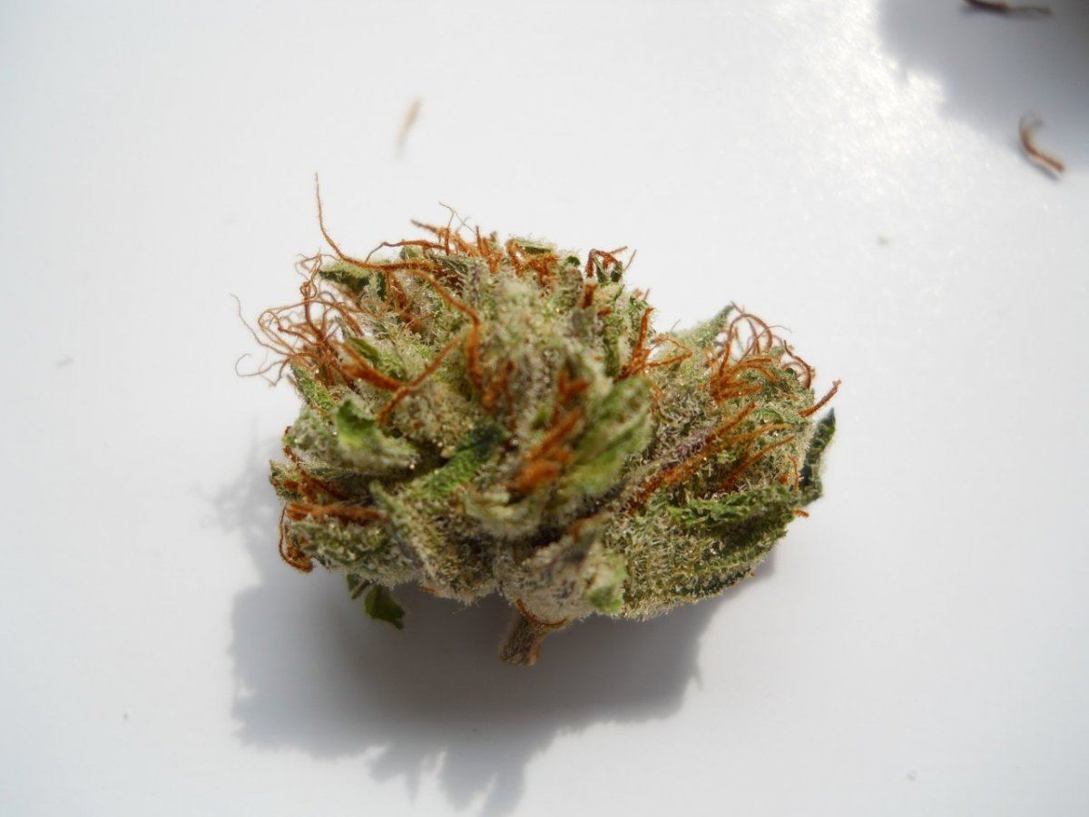 Hinduf23