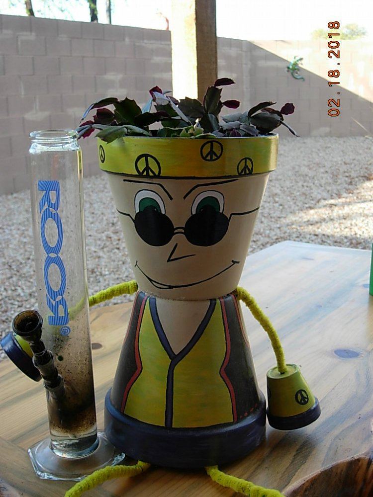 Hippie pal 2
