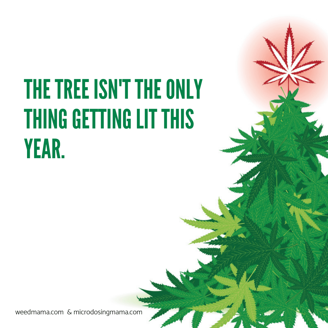 Holidaze3