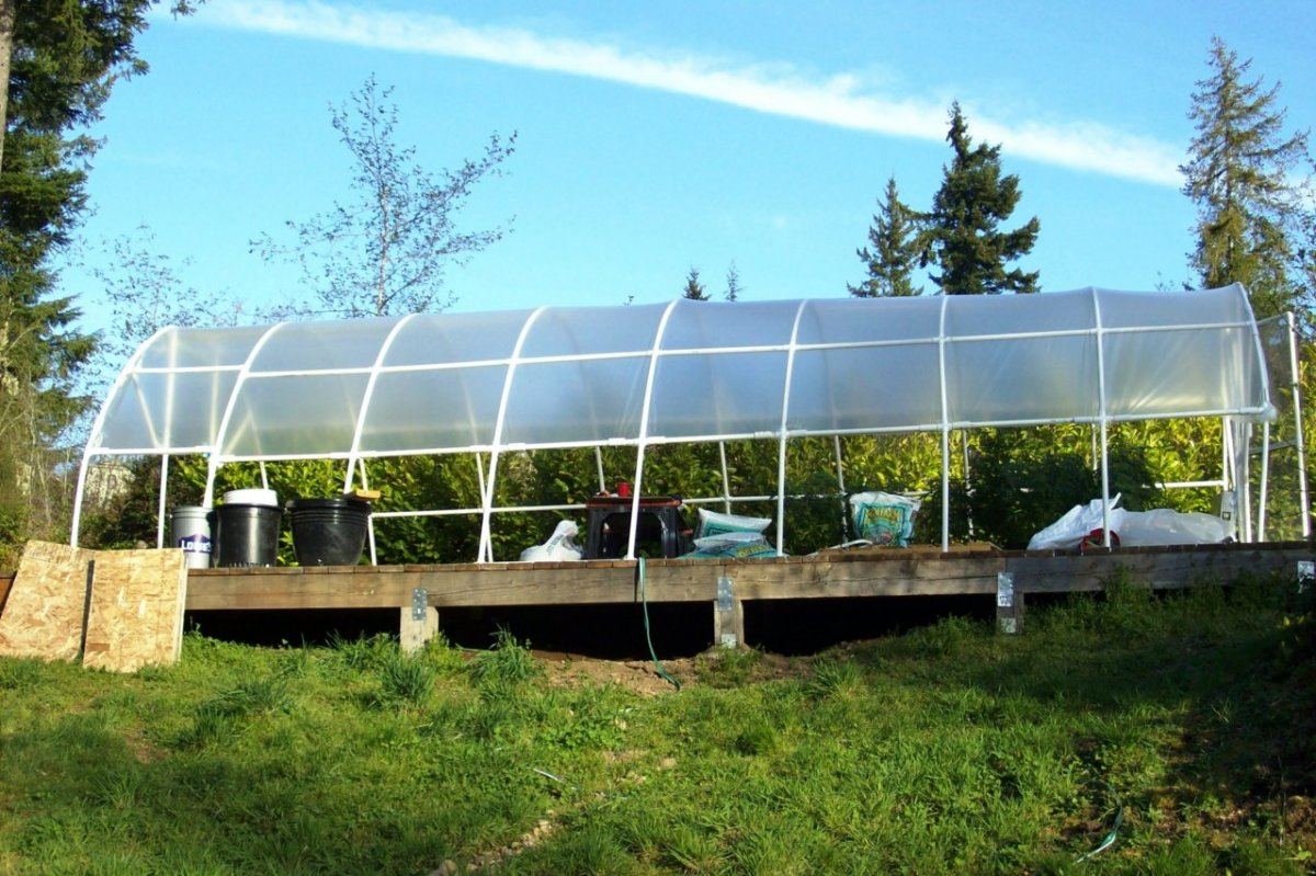 Hoop House 2012 1