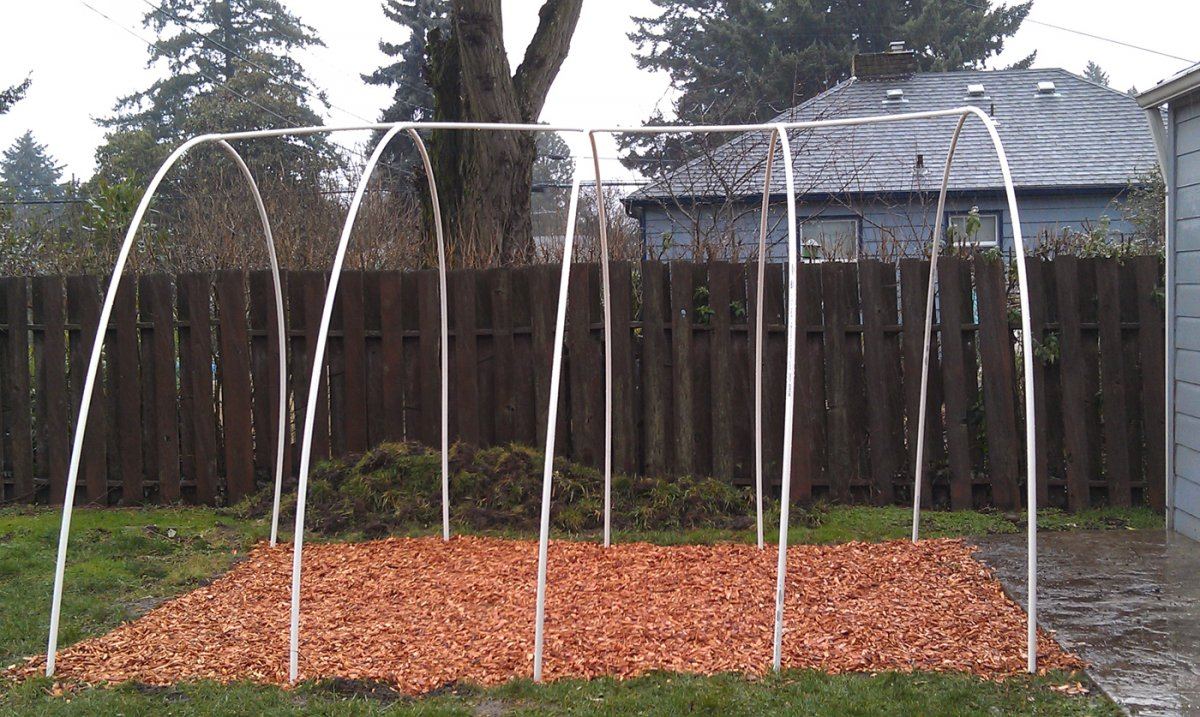 Hoop bones