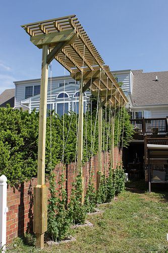 Hop Trellis Designs Arbor