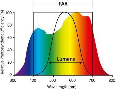 Horti LED PAR wavelength range
