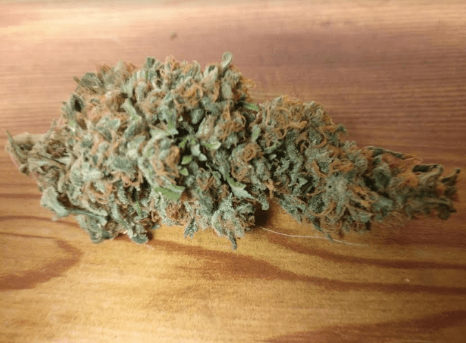 Houser1gg4xhypercherrypie81218