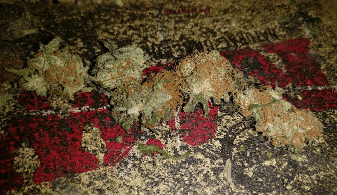 Housercindy99383119