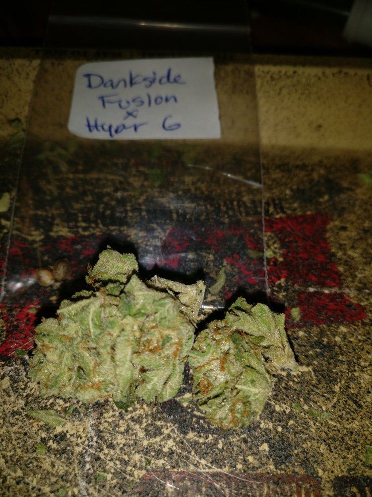 Houserdanksidefusionxhyper12219