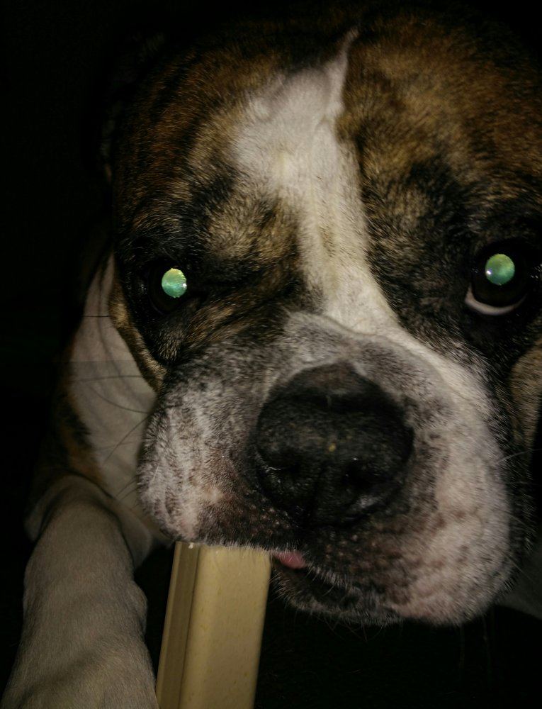 HouserFredallinhisface