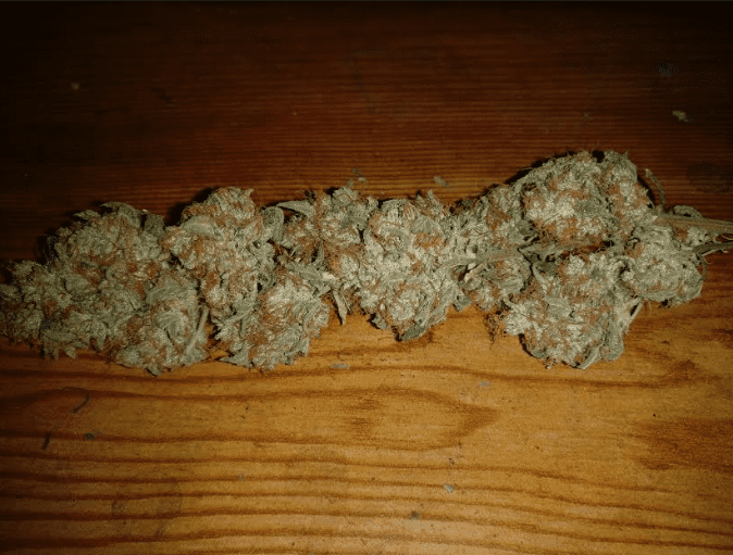 Houserhypercherryglue11119