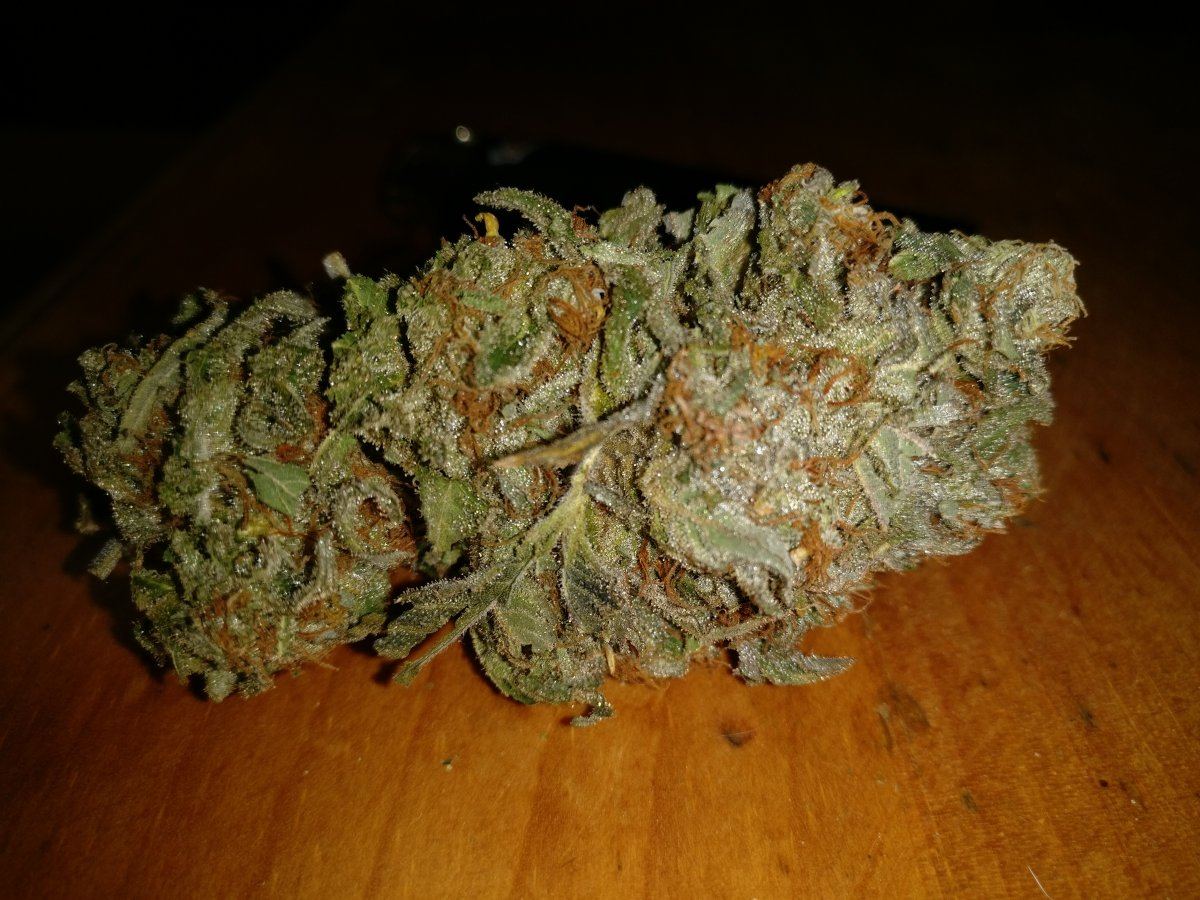Housersourkushxc9921718