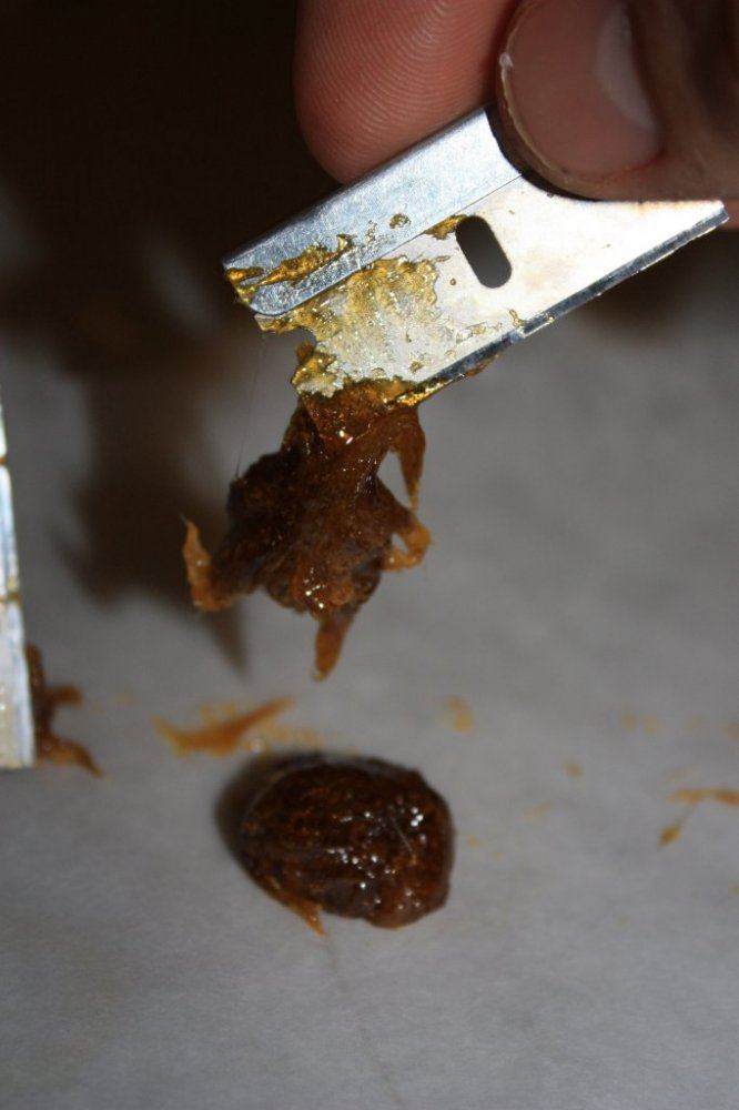 How i make honey oil 12