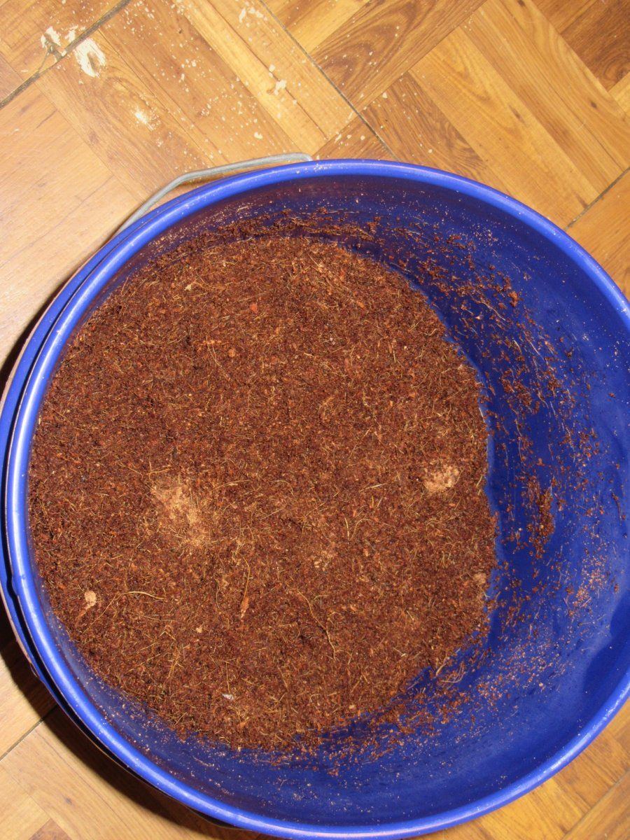 How i simply use coco indoors 2