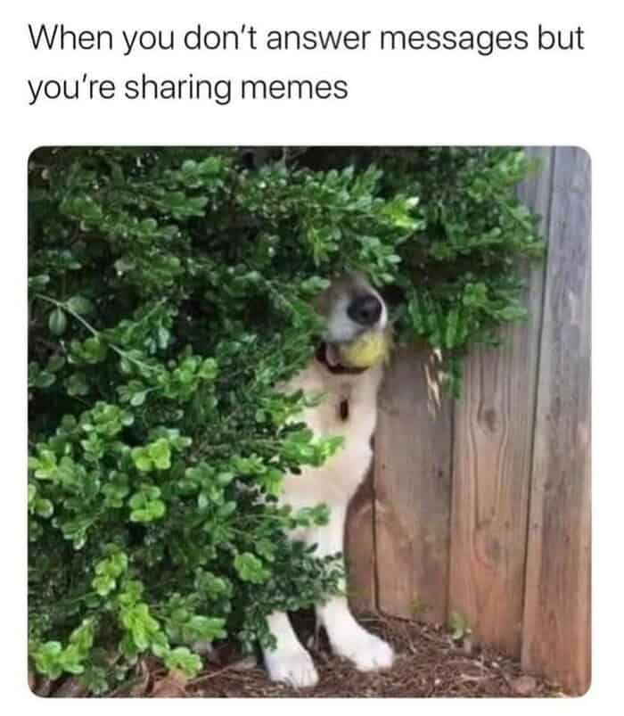 How mental funny memes 30