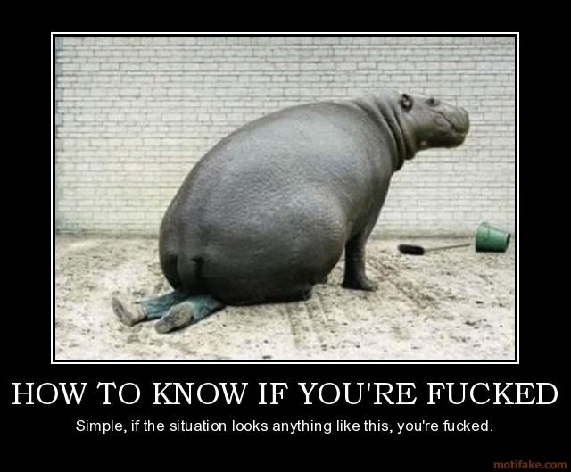 How to know if youre fucked hippo squash how to know if you demotivational poster 1264036122
