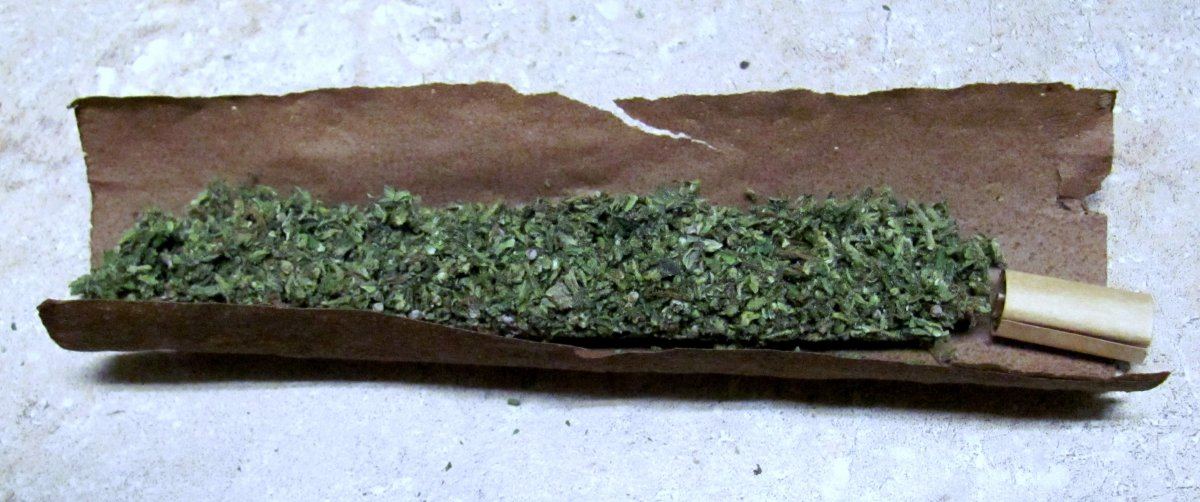 How to roll a dutch master blunt 21