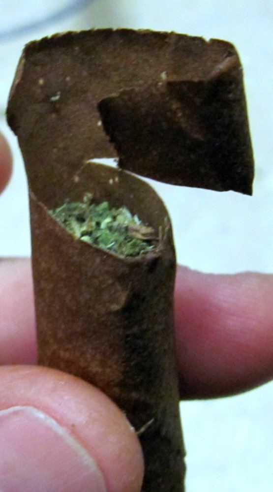 How to roll a dutch master blunt 27