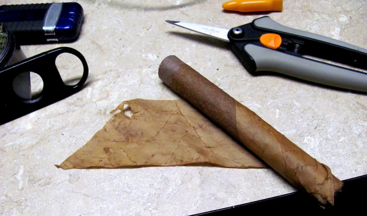 How to roll a dutch master blunt 9