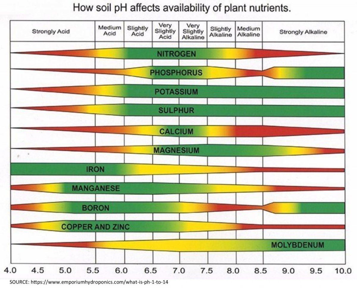 How Soil pH affects availability of plant nutrients