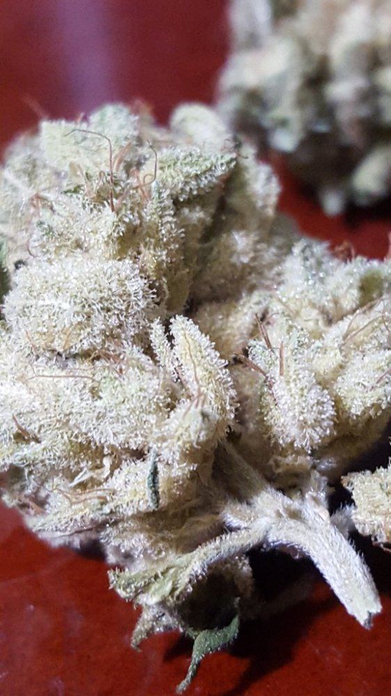 HSO  Emdogg 2