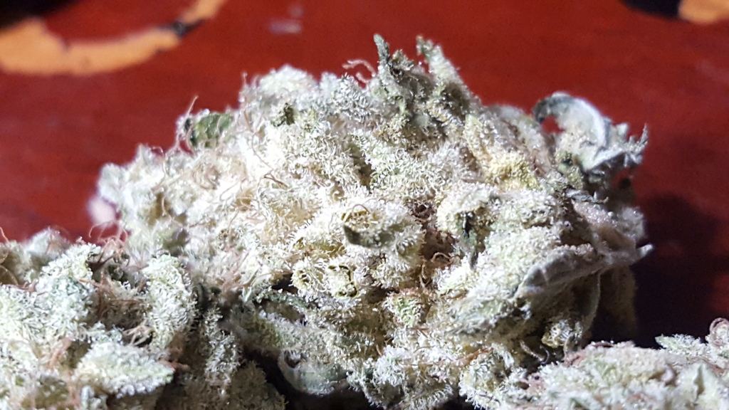 HSO  Emdogg