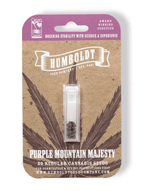 Humboldt Seed Co Purple Mountain Majesty