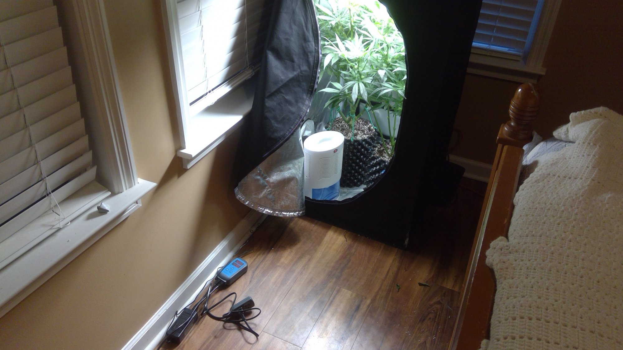 Humidity issues cant lower the humidity in my tent