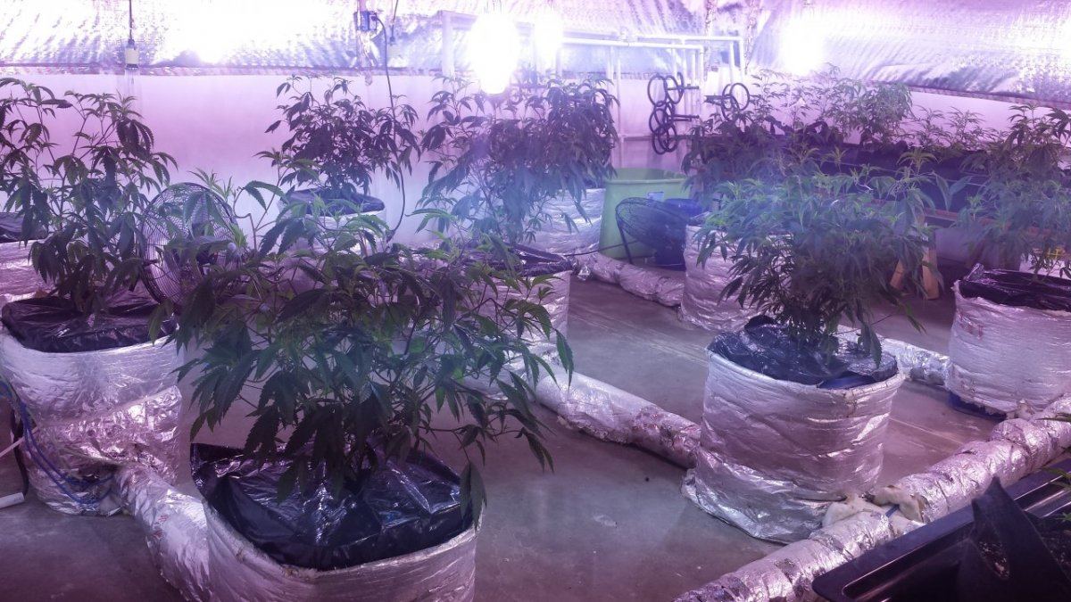 Hybrid room 4