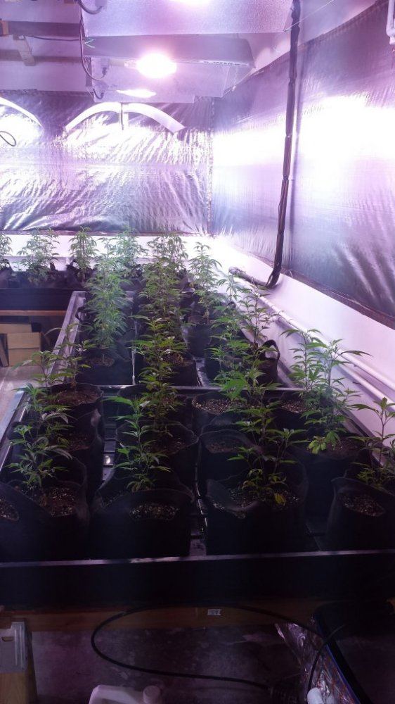 Hybrid room 6