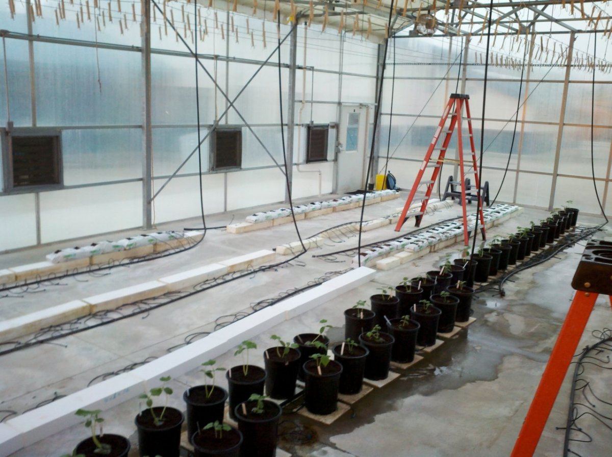 HydroGreenhouse01