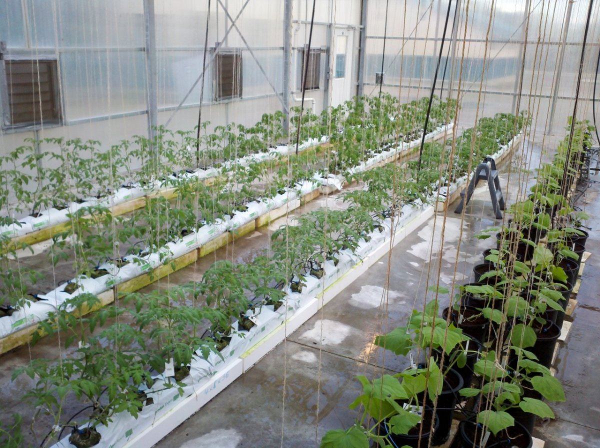 HydroGreenhouse02