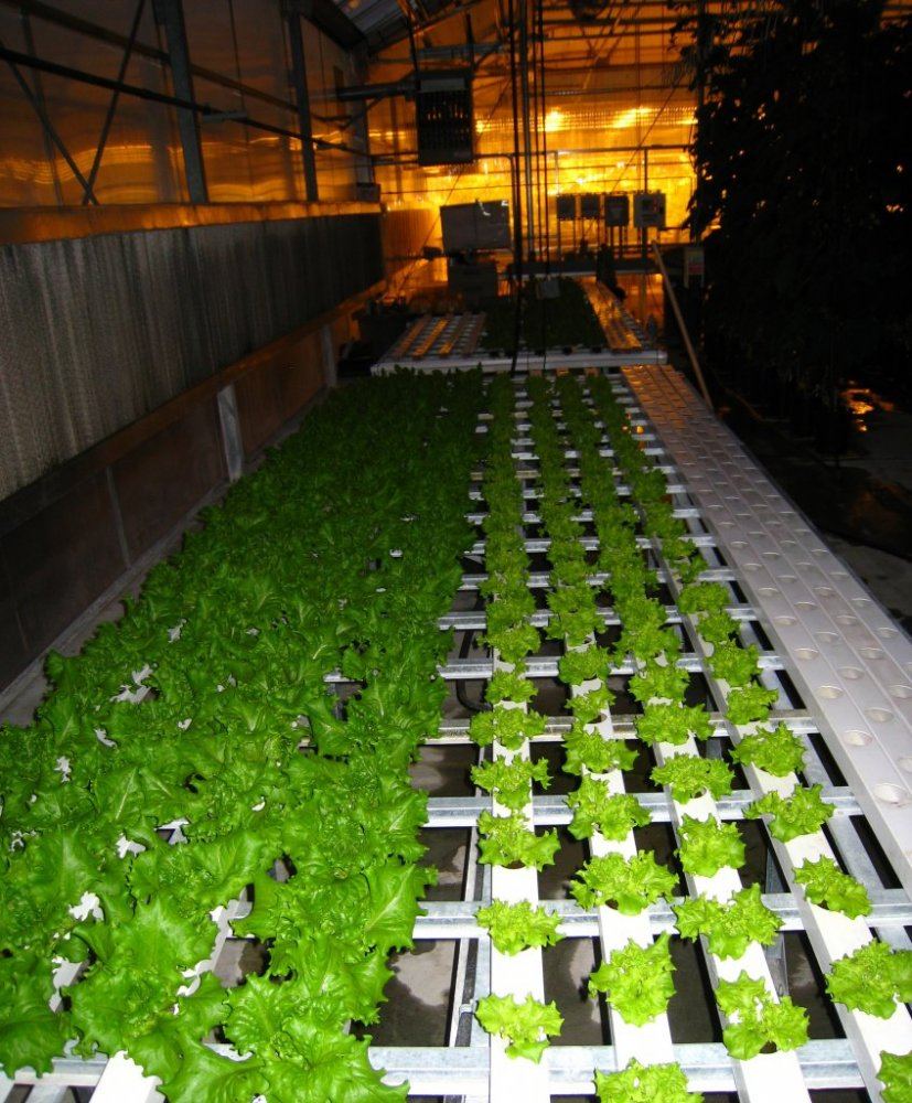 HydroGreenhouse27