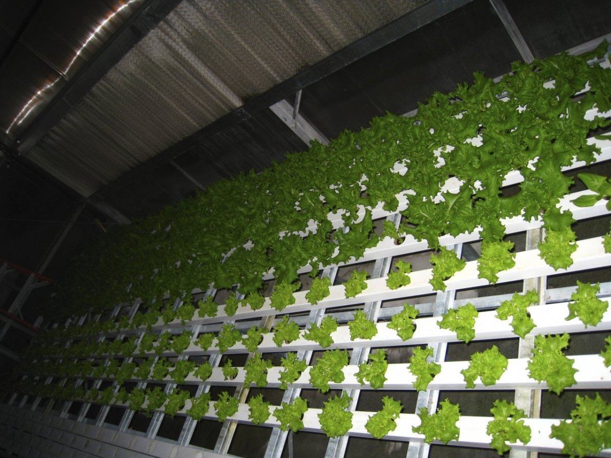 HydroGreenhouse29