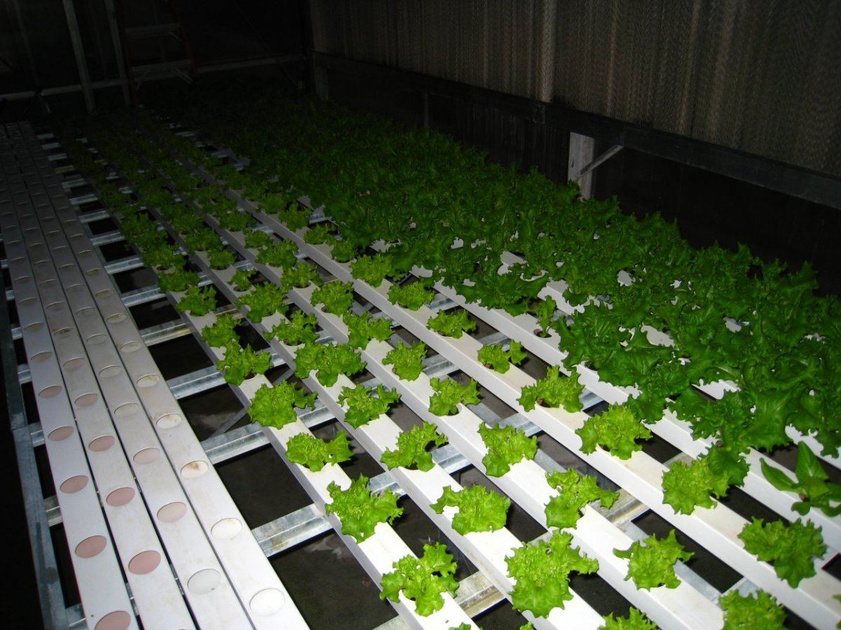 HydroGreenhouse33