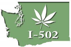 I 502 marijuana legalization