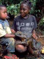 I 5964e5a8e493bd24a9a4a1202dd9ea0a kids with offensively big frog