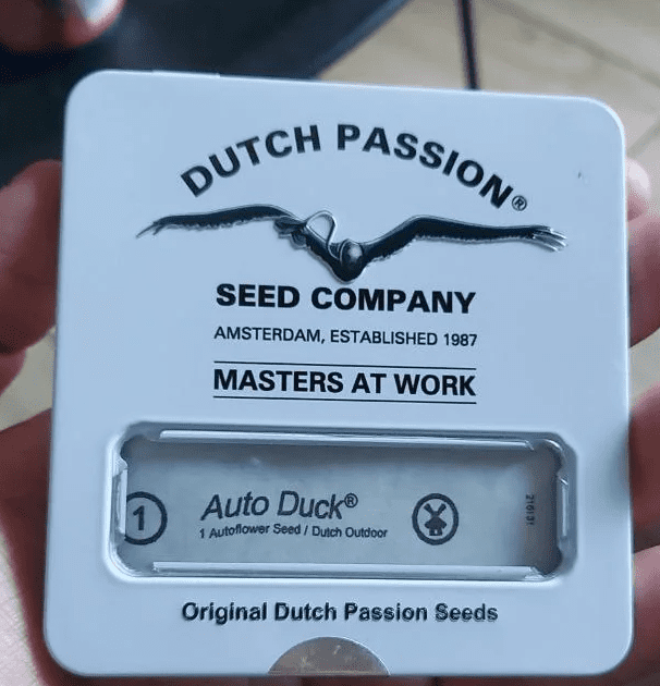 I bought a probably fake auto duck seed from the looks of it it is clearly not auto duck how t 2