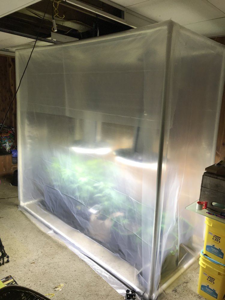 I built a 65x7x3 indoor tent with 1 pvc for 70 4