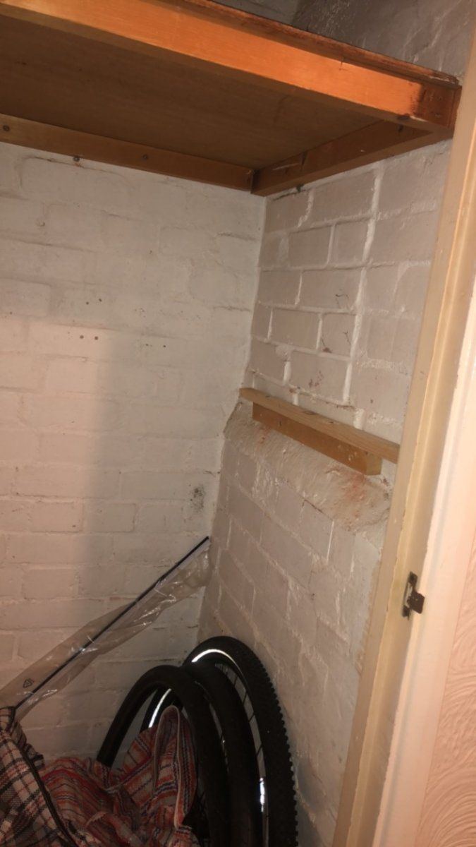 I have a storage cupboard with brick walls is it with growing in and how do i have the carbon