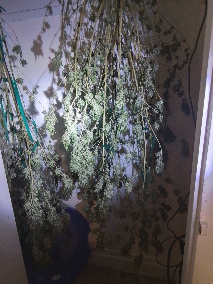 I have several questions regarding drying  curing 3