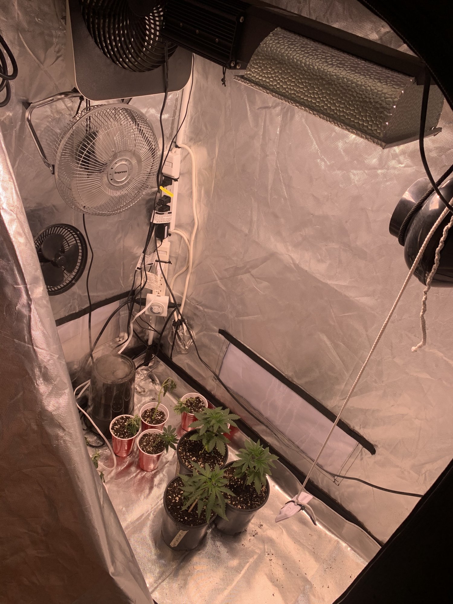 Ideas on how to lower grow room temps help please 2